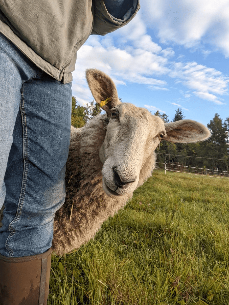 Not As Bad As *That* Guy