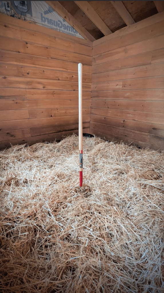 manure fork in clean livestock shed