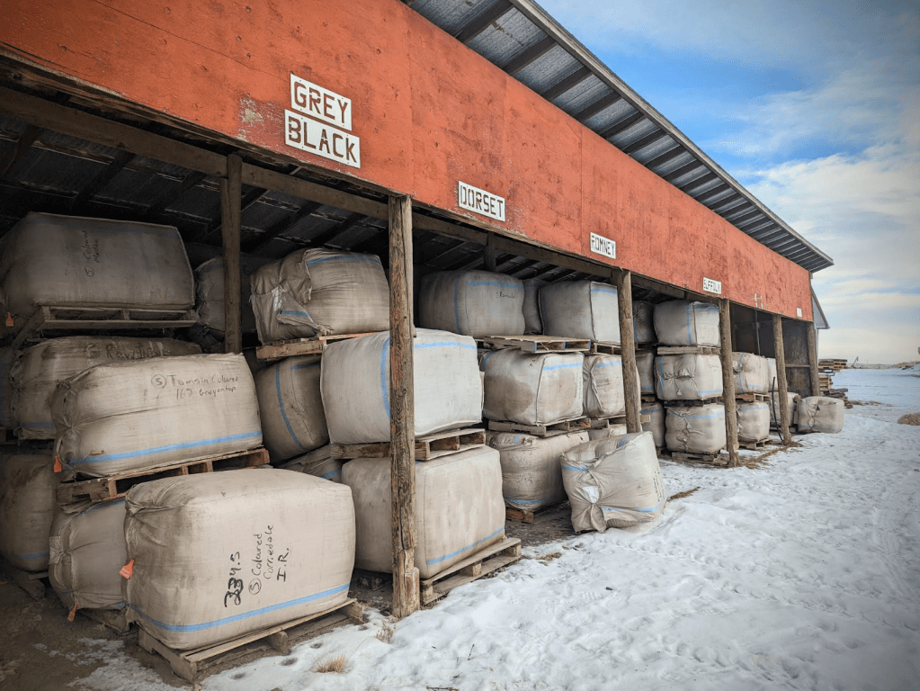 Futureproofing Canadian Wool