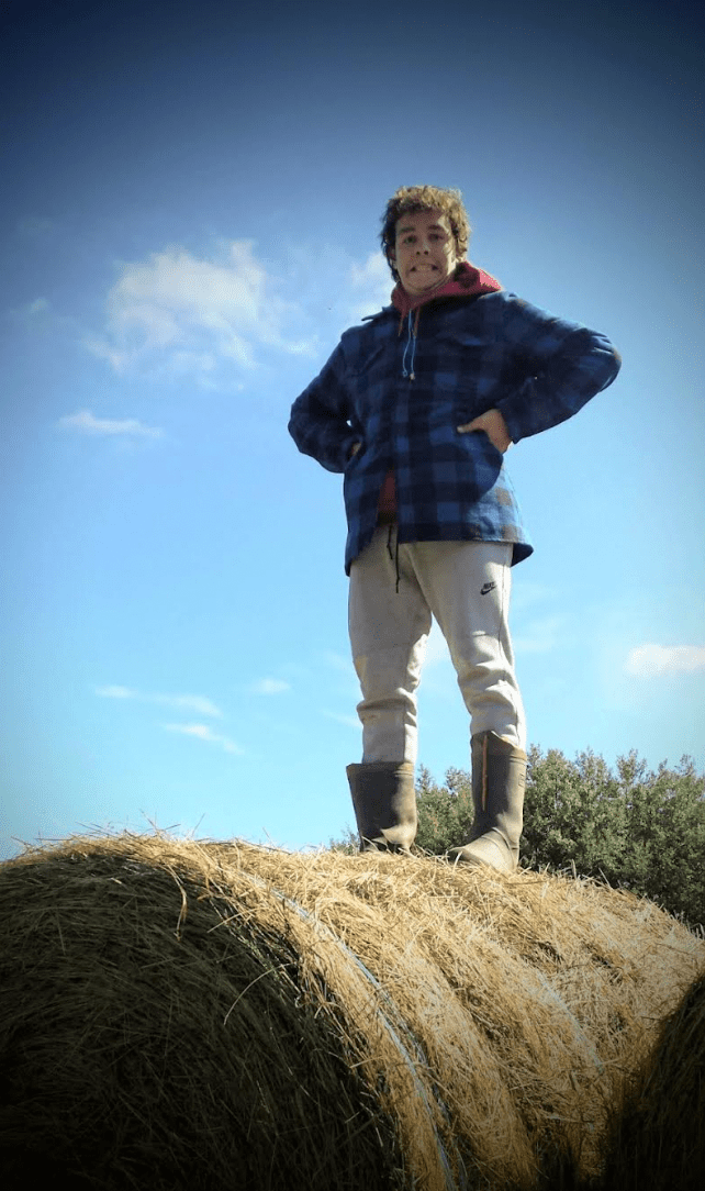 Hay Is NOT a&nbsp;Failure