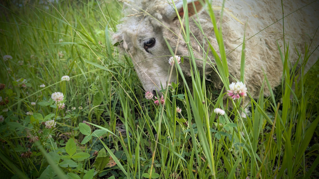 When Fire Isn’t an&nbsp;Option