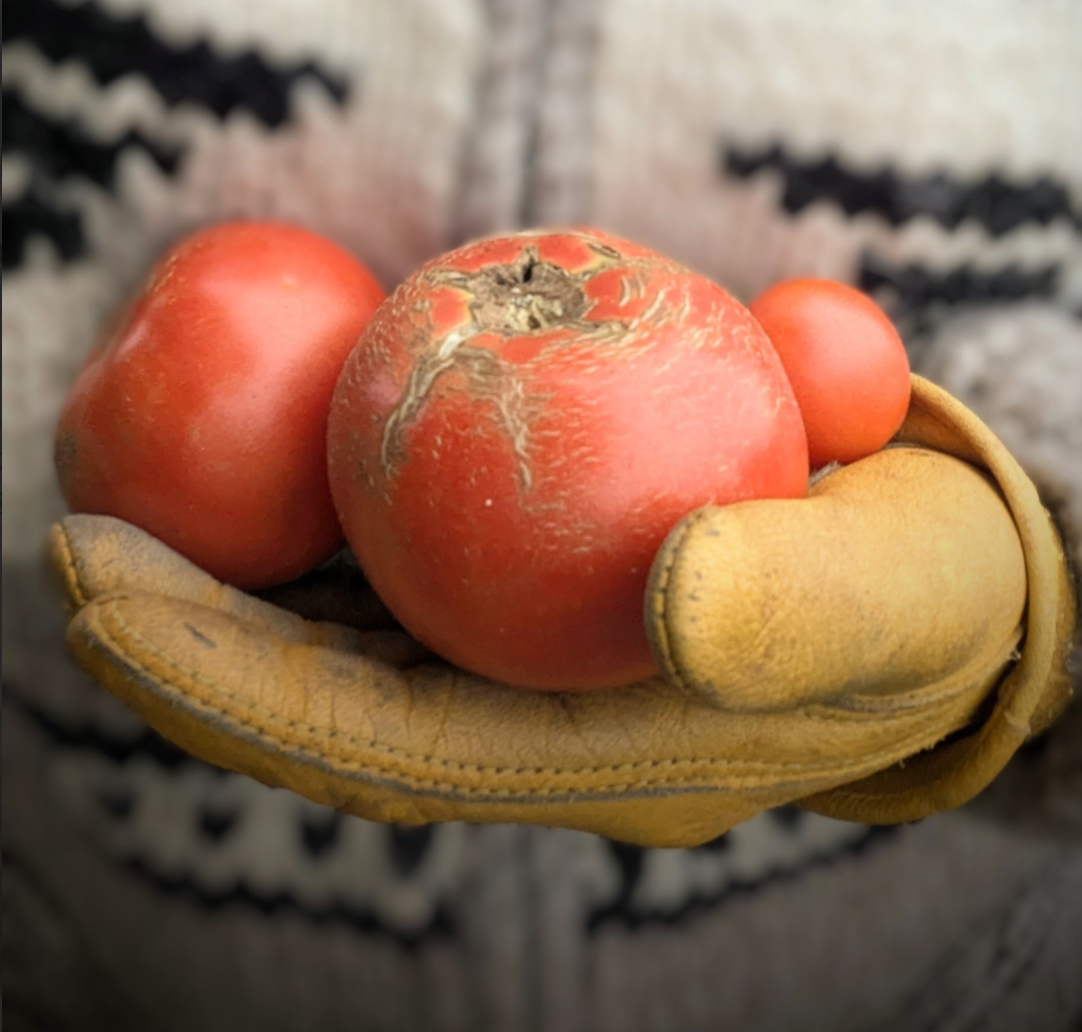 Canada Grows a Lot of Food. So Why Does Our Food System Still Feel Fragile?