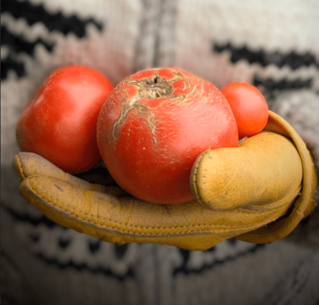 Canada Grows a Lot of Food. So Why Does Our Food System Still Feel&nbsp;Fragile?