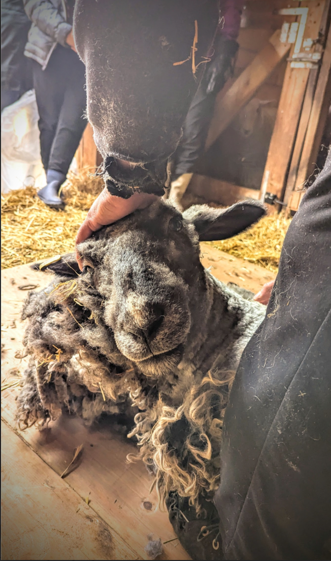 How to Buy A “Good” Fleece