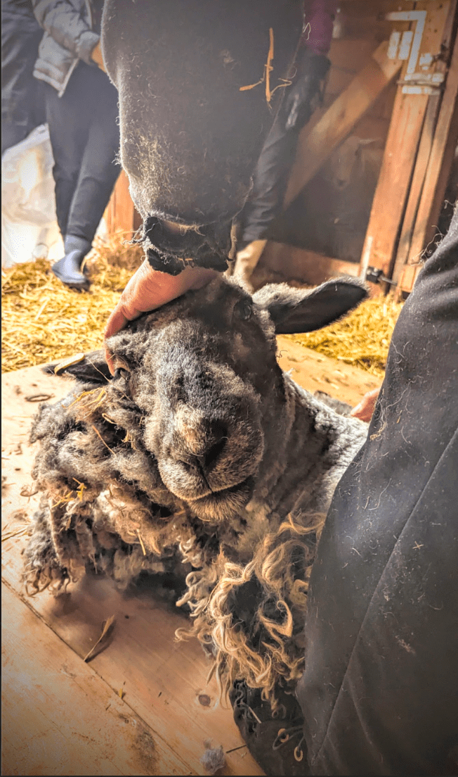 How to Buy A “Good” Fleece