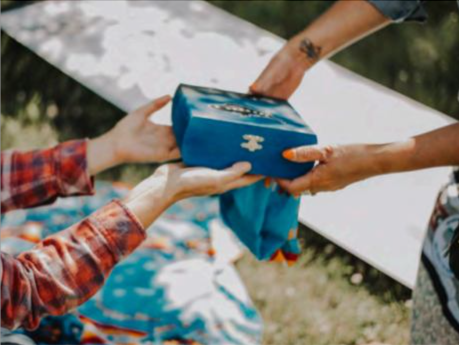 UNDRIP and Indigenous Knowledge – a rebuttal to Warren Mirko and&nbsp;PLUS