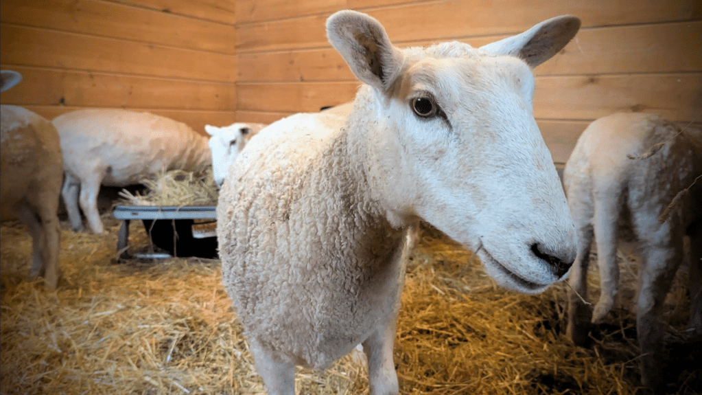 Winter With Better Lighting