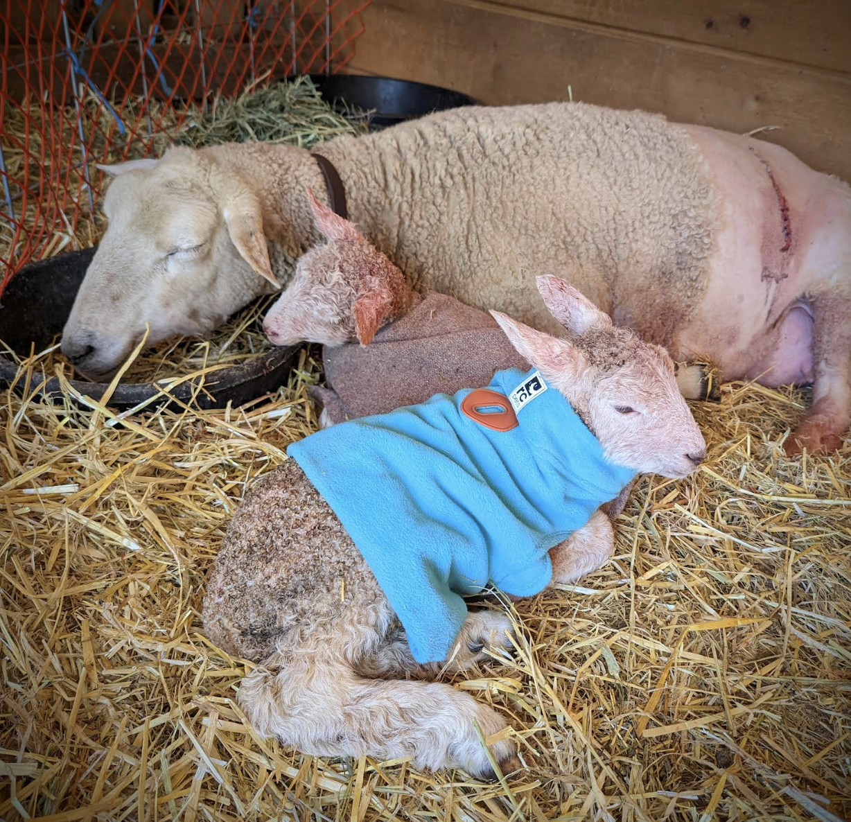 The Quality of the&nbsp;Question