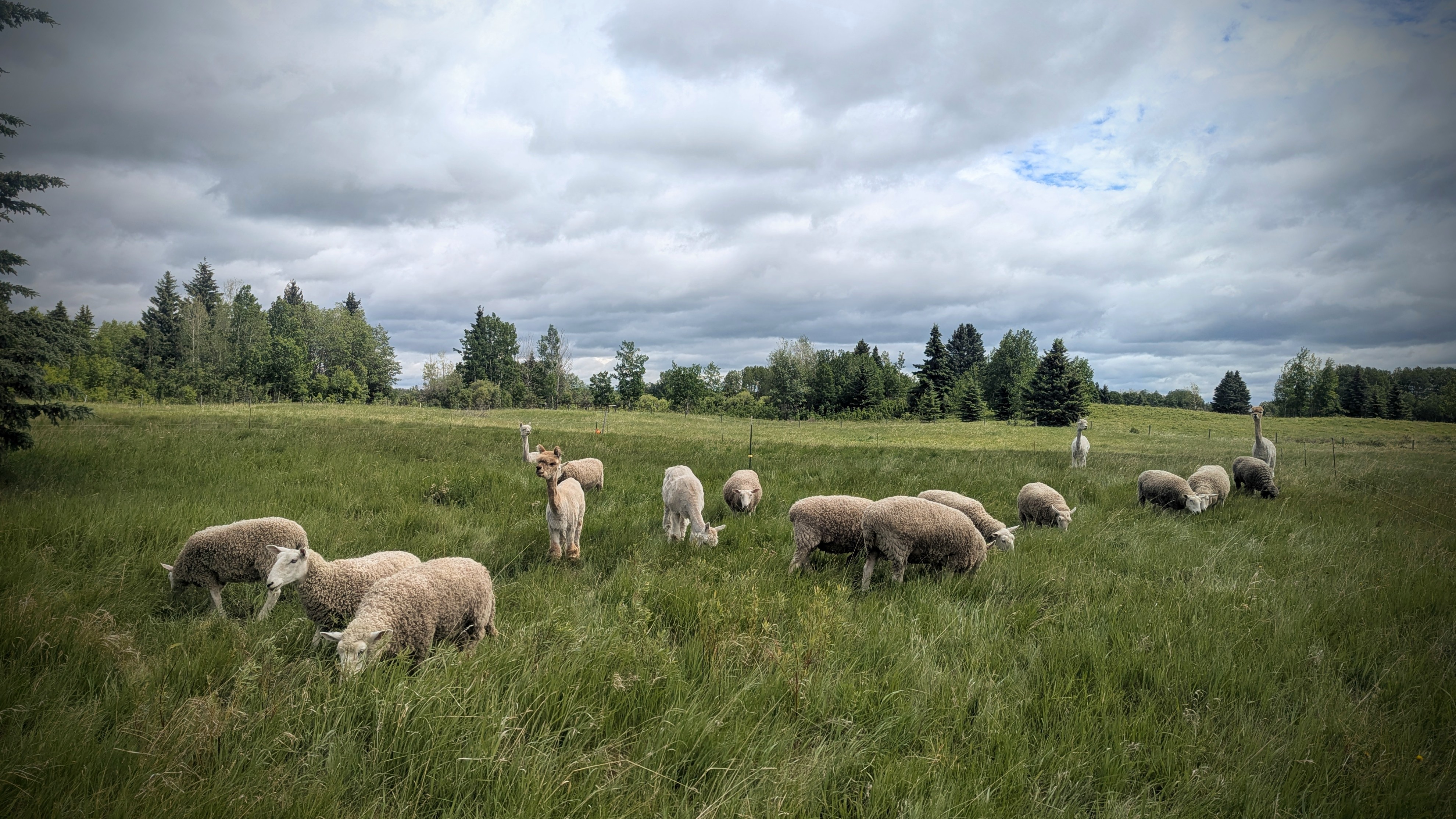 The Geometry of&nbsp;Grazing