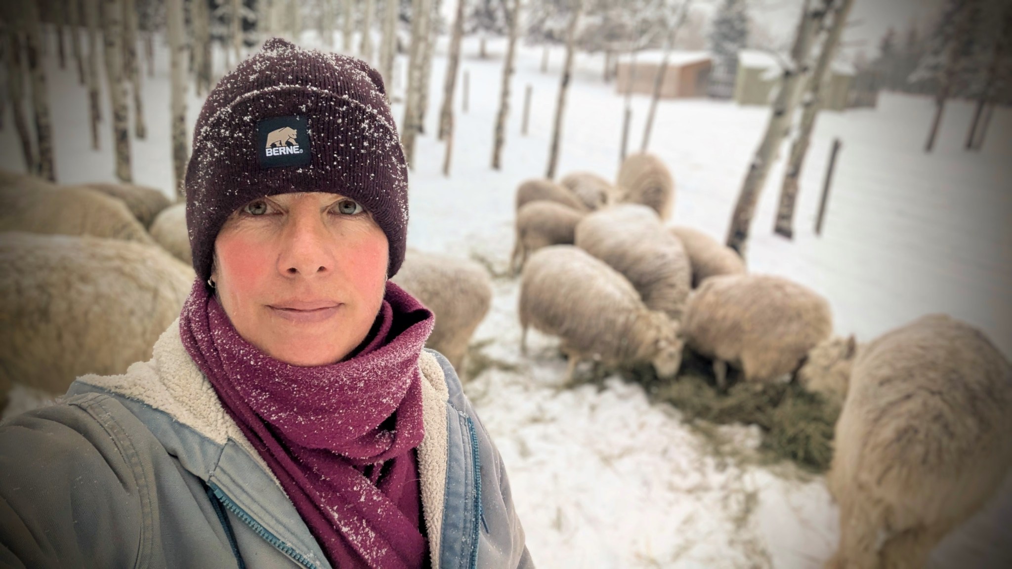Introduction To Sovereignty Barriers to Entry – An Introduction – Providence Lane Homestead
